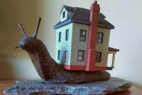 image of a snail carrying a house on its back