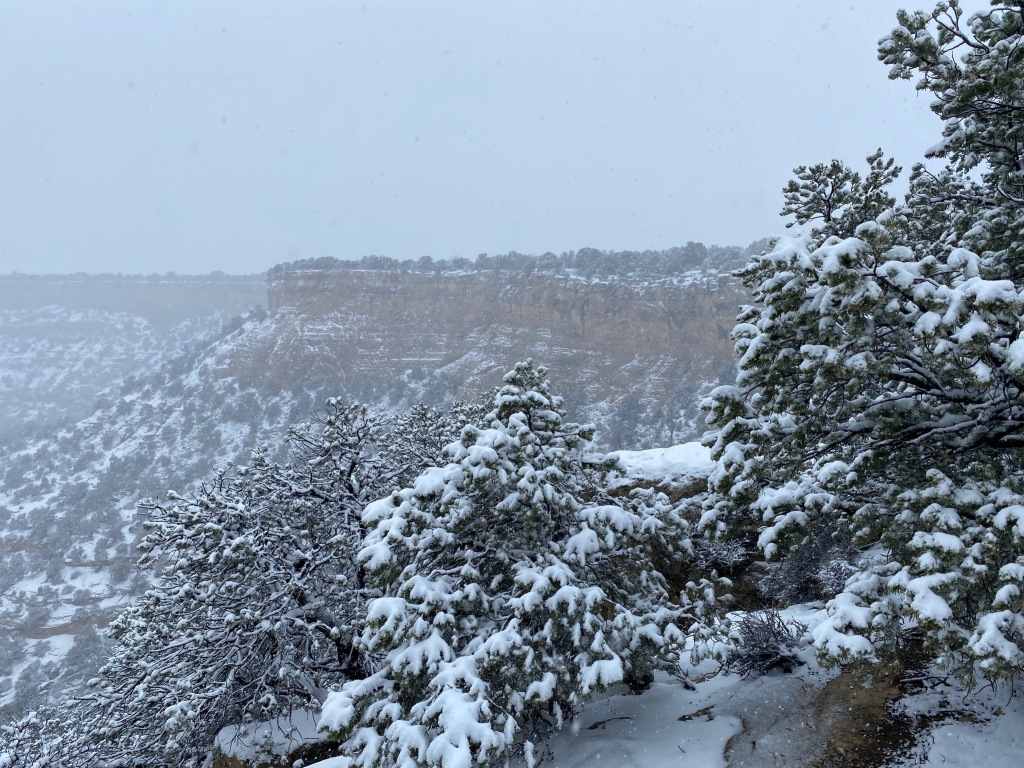 photo of snow-covered red rock cliffs and evergreen trees